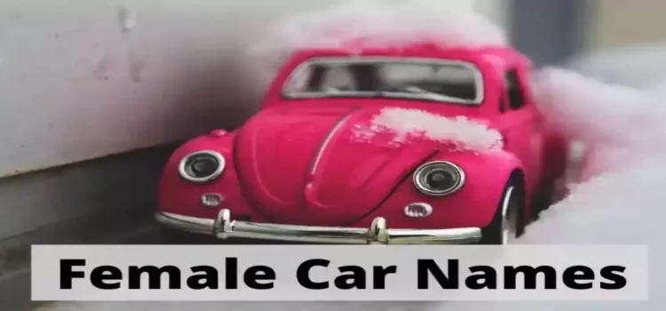 Cute & Quirky Adorable Female Car Names For Your Beloved Ride