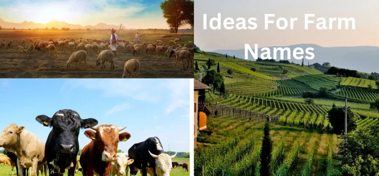 Authentic Ideas For Farm Names That Capture Of Agriculture