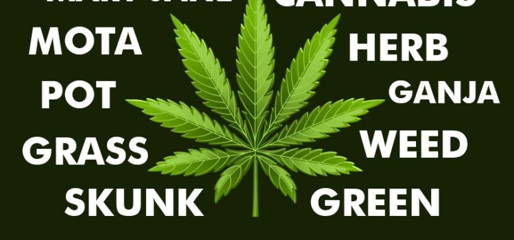 A List Of Adorable Weed Nicknames