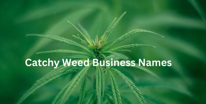 Catchy Weed Business Names