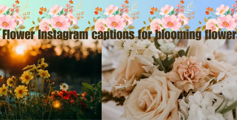 Flower Instagram captions for blooming flowers