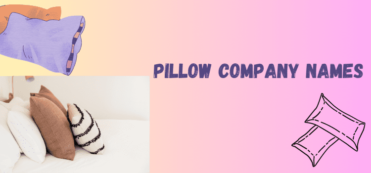 Unique pillow company names and names for pillows