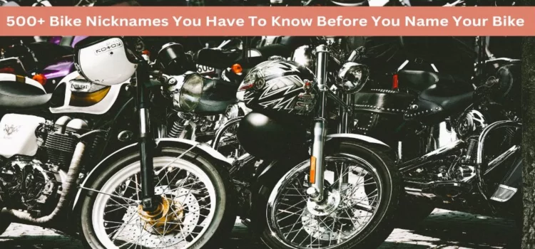 500+ Bike Nicknames You Have To Know Before You Name Your Bike