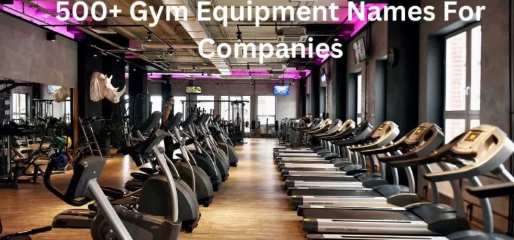 500+ Gym Equipment Names For Companies That You Have To Know 