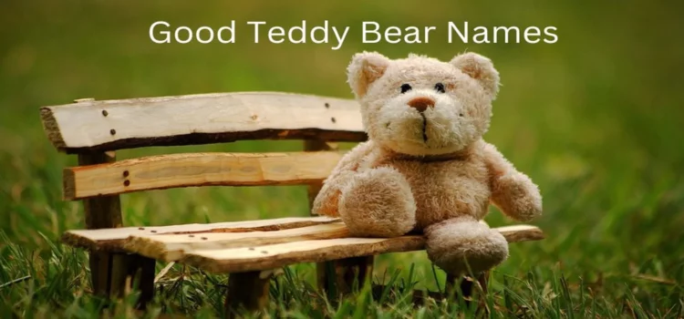 How to Select Good Teddy Bear Names – Tips, Ideas, And Inspiration