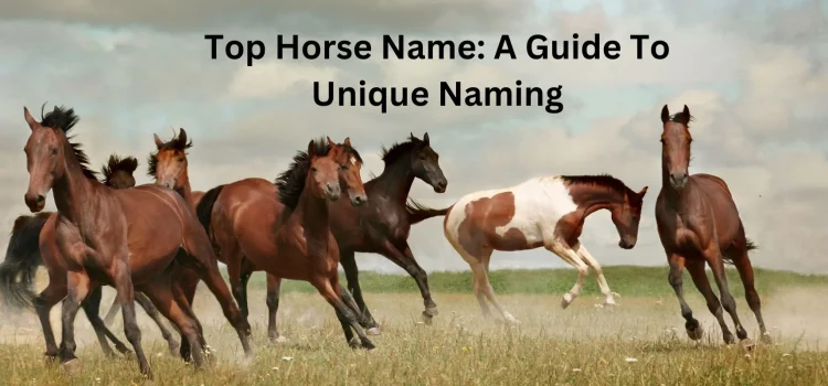 2023 Top Horse Name: A Guide To Naming Your Equine Companion