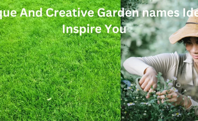 10-Unique-And-Creative-Garden-names-Ideas-To-Inspire-You
