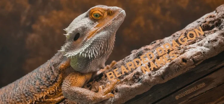 Majestic Monikers: A Guide To Bearded Dragon Names Ideas