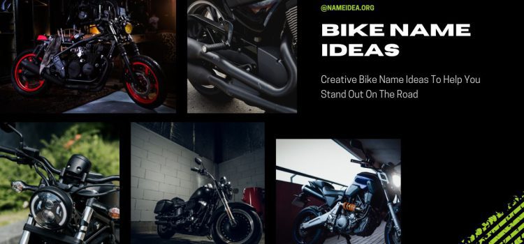 10 Creative Bike Name Ideas To Help You Stand Out On The Road
