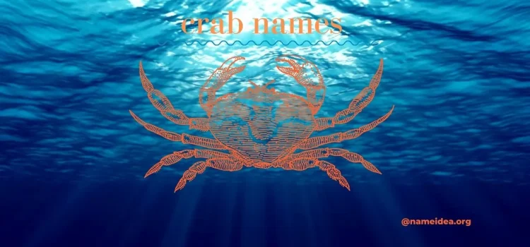 100+ Crab Names: Creative Ideas For Your Crustacean Companion