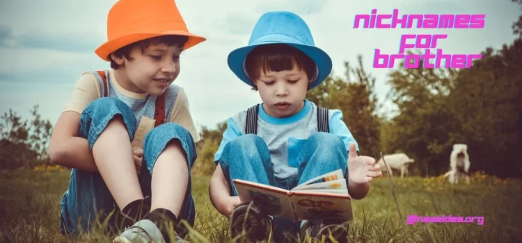 Nicknames For Brother: Fun & Creative Ideas To Call Your Sibling