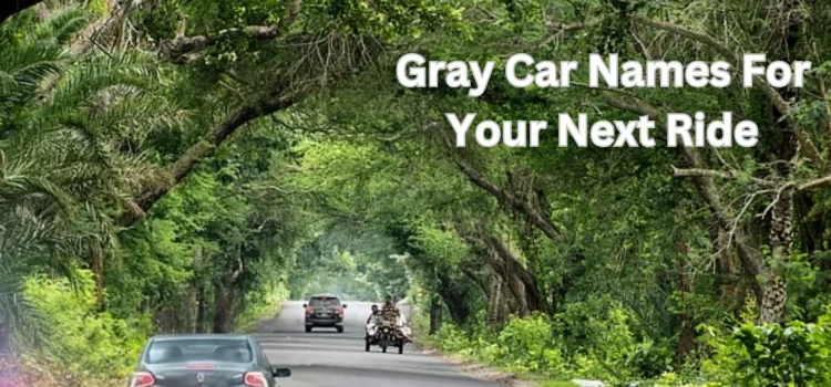 100+Sleek And Sophisticated Gray Car Names For Your Next Ride