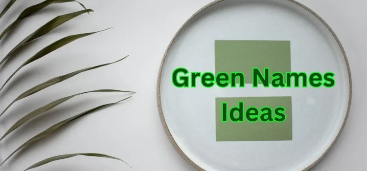 2023 Top 50+ Green Names Ideas: Creating An Eco-Friendly Identity